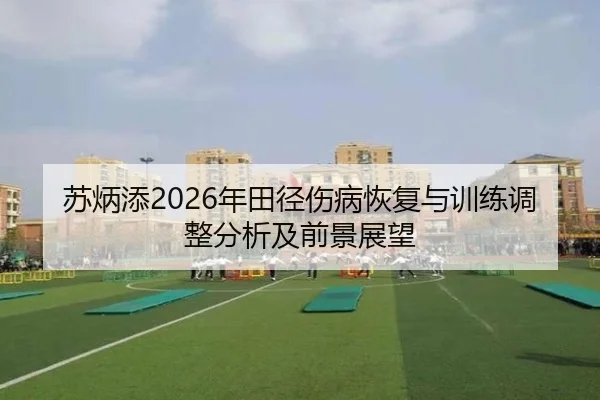 苏炳添2026年田径伤病恢复与训练调整分析及前景展望