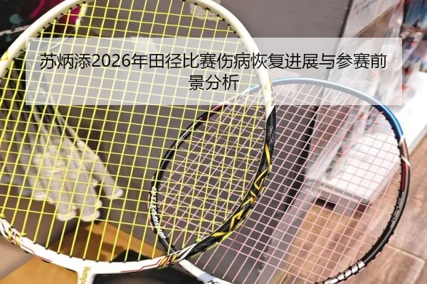 苏炳添2026年田径比赛伤病恢复进展与参赛前景分析